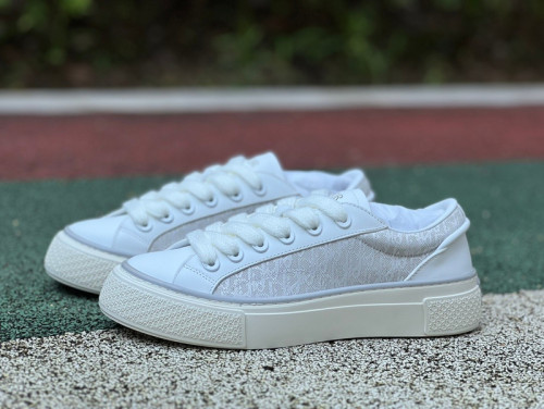Authentic Dior B33 Tennis Shoes White/Grey