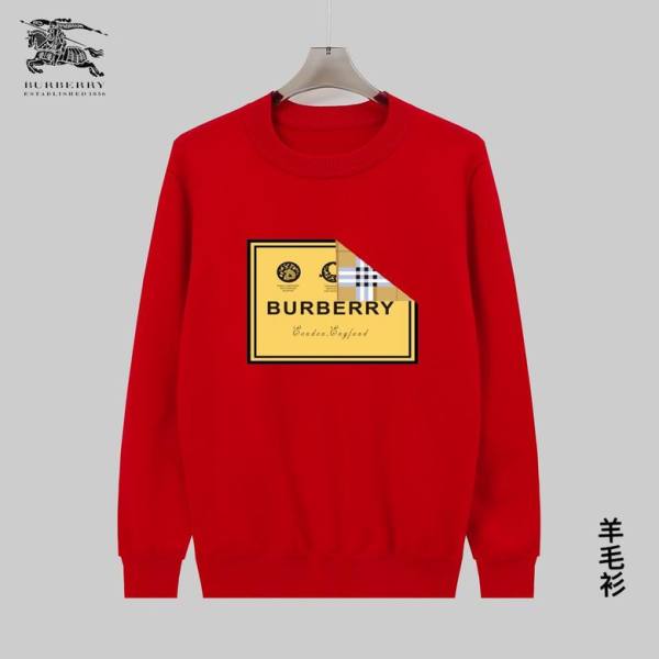 Burberry Sweater M-3XL (101)