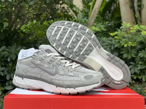 Authentic Nike P-6000 PRM Silver Grey