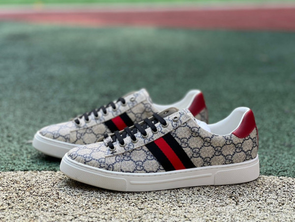 Authentic Gucci Shoes Rise/Brown/Red
