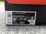 Authentic Air Jordan 12 “Twist”