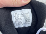 Authentic Air Jordan 12 “Twist”
