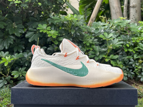 Authentic Nike LeBron TR 1“FAMU”PE