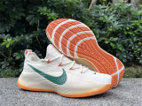 Authentic Nike LeBron TR 1“FAMU”PE