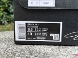 Authentic Nike LeBron TR 1“FAMU”PE