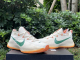 Authentic Nike LeBron TR 1“FAMU”PE