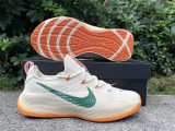 Authentic Nike LeBron TR 1“FAMU”PE