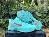 Authentic Jalen Brunson x Nike Zoom Kobe 6 Protro Statue of Liberty PE