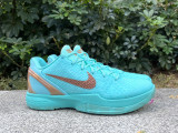 Authentic Jalen Brunson x Nike Zoom Kobe 6 Protro Statue of Liberty PE