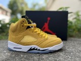 Authentic Air Jordan 5 “Michigan” PE