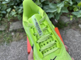 Authentic Nike Pegasus Premium Forrest Gump Green
