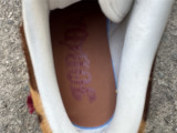Authentic Air Jordan 1 Low SE CNY