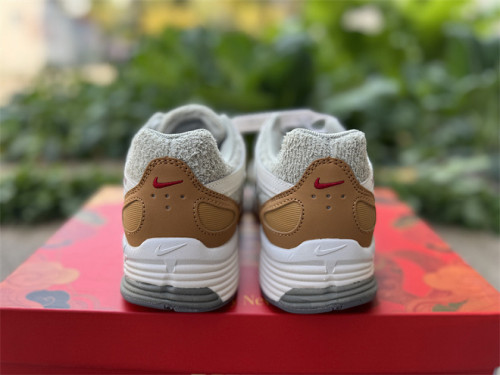 Authentic Nike P-6000 Grey Brown