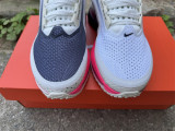 Authentic Nike Pegasus Premium SE Beige/Grey