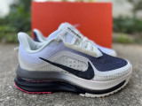 Authentic Nike Pegasus Premium SE Beige/Grey