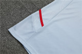 22/23 Lyon Training Suit Gray 1:1 Quality Training Jersey