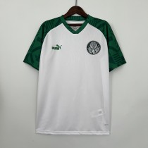 23/24 Palmeiras Special Edition White Fans 1:1 Quality Soccer Jersey