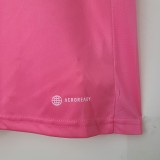 22/23 Internacional Pink Fans Version 1:1 Quality Soccer Jersey