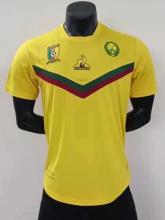 21/22 Cameroon Away Player version 1:1 Quality Soccer Jersey