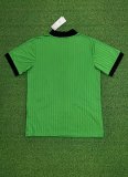 23/24 Celtic Green Fans 1:1 Quality ICONS T-Shirt