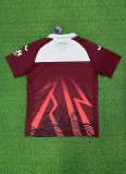 23/24 Torino Special Edition Fans 1:1 Quality Soccer Jersey