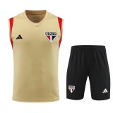 23/24 Sao Paulo Yellow 1:1 Quality Training Vest（A-Set）