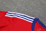 23/24 Bayern Munich Red 1:1 Quality Training Jersey（A-Set）