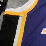 NBA Lakers crew neck Vintage purple 3 Davis with chip 1:1 Quality