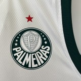 23/24 Palmeiras Away Green 1:1 Quality Training Vest