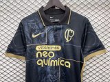 23/24 Corinthians Special Edition Fans 1:1 Quality Soccer Jersey