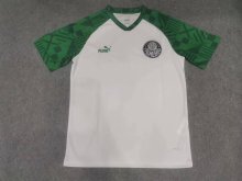 23/24 Palmeiras Training White Fans 1:1 Quality Soccer Jersey