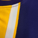 NBA Lakers retro purple V-neck 23 James with chip 1:1 Quality
