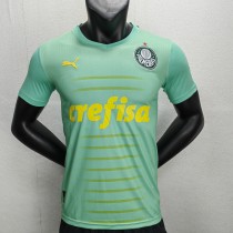 23/24 Palmeiras Special Edition Green Fans 1:1 Quality Soccer Jersey