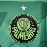 23/24 Palmeiras Special Edition Fans 1:1 Quality Soccer Jersey