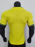 22/23 Al-Nassr FC Special Edition Player 1:1 Quality Soccer Jersey