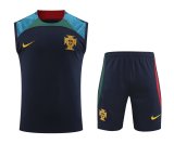 2022 Portugal Blue 1:1 Quality Training Vest（A-Set）
