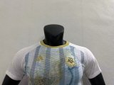 2023 Argentina Commemorative Edition 3 Stars Player 1:1 Quality Soccer Jersey