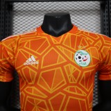 23/24 Algeria Yellow Player 1:1 Quality Soccer Jersey（宝）