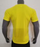 23/24 Scotland Yellow Goakeeper Fans 1:1 Quality Soccer Jersey