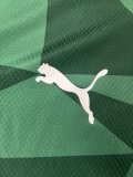 23/24 Palmeiras Home Green Fans Version 1:1 Quality Soccer Jersey
