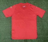 23/24 Morocco Home Red Fans 1:1 Quality Soccer Jersey
