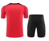 23/24 PSG Paris Red 1:1 Quality Training Jersey（A-Set）