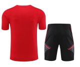 23/24 Bayern Munich Red 1:1 Quality Training Jersey（A-Set）