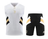 23/24 Juventus White 1:1 Quality Training Vest（A-Set）