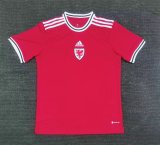 22/23 Wales Home Fans Version 1:1 Quality Soccer Jersey