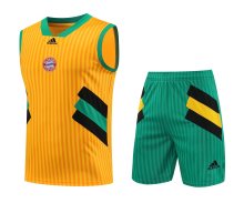 23/24 Bayern Munich Yellow 1:1 Quality Training Vest（A-Set）