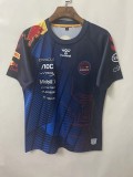 2021 F1 Red Bull Gaming Edition Short Sleeve Racing Suit 1:1 Quality