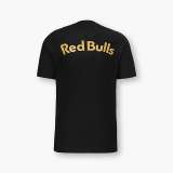 22/23 Red Bull Salzburg 10 Champion Commemorte Edition Fans 1:1 Quality Soccer Jersey