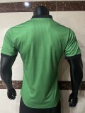 23/24 Celtic Green Player 1:1 Quality ICONS T-Shirt