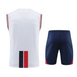 23/24 PSG Paris Jordan White 1:1 Quality Training Vest（A-Set）